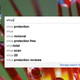 Illustration for article titled Bing Serves Up Five Times More Malicious Sites Than Google